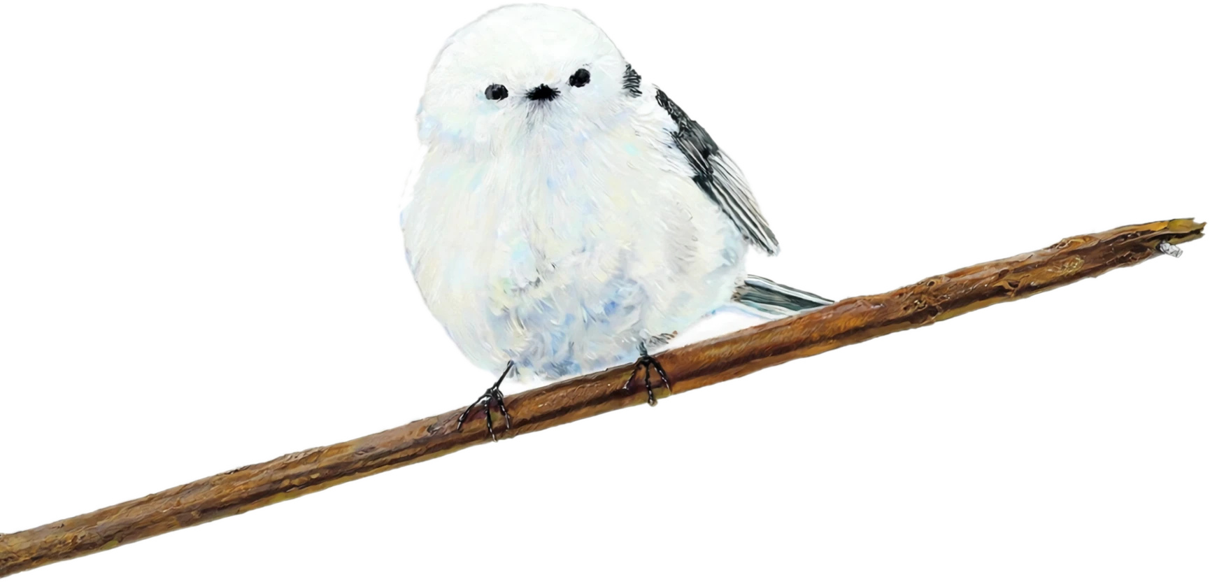 枝にとまるシマエナガ